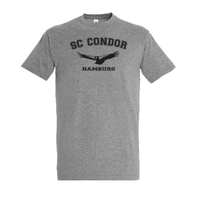 T-Shirt Condor, grau
